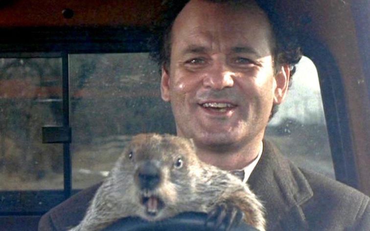 groundhogsday